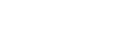 palm beach electronics logo in white